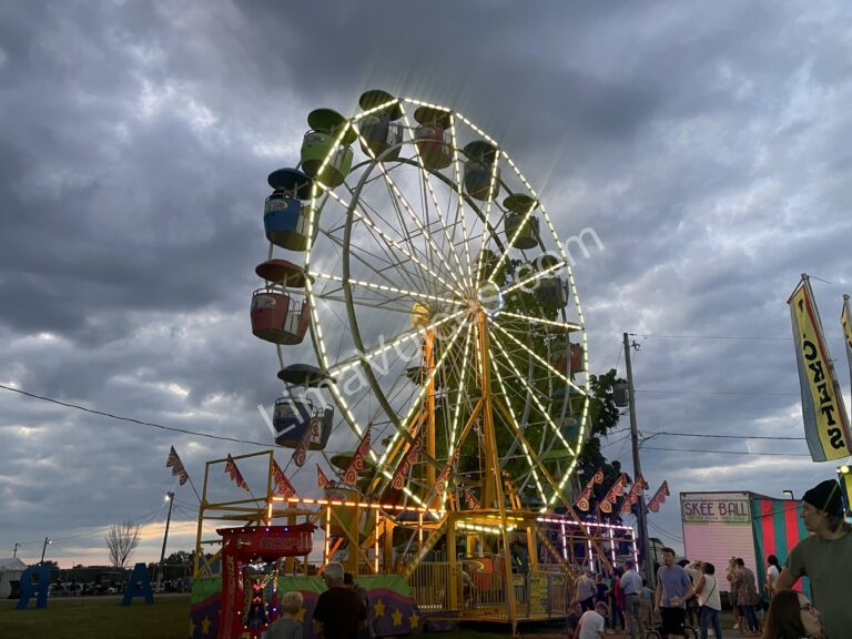 The Expo Wheel lights up the night sky, offering panoramic views of the Allen County Fairgrounds.